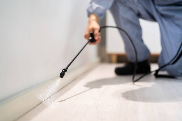 Licensed Fumigation Services service in Ione, CA - Nex Pest Control
