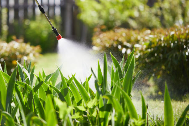 24/7 Emergency Fumigation Services experts in Ione, CA