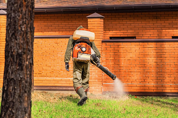 Top rated local Fumigation Services specialists in Ione, CA